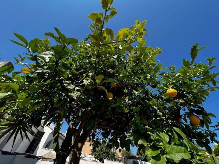 EL VERGEL - Gemütliche kleine Villa nur 600 m vom feinsandigen Strand