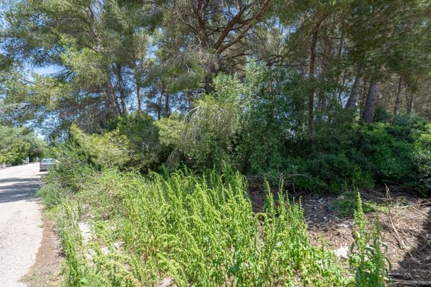 C3XY4058JAV Grundstück zum Verkauf in Javea