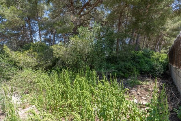 C3XY4058JAV Grundstück zum Verkauf in Javea