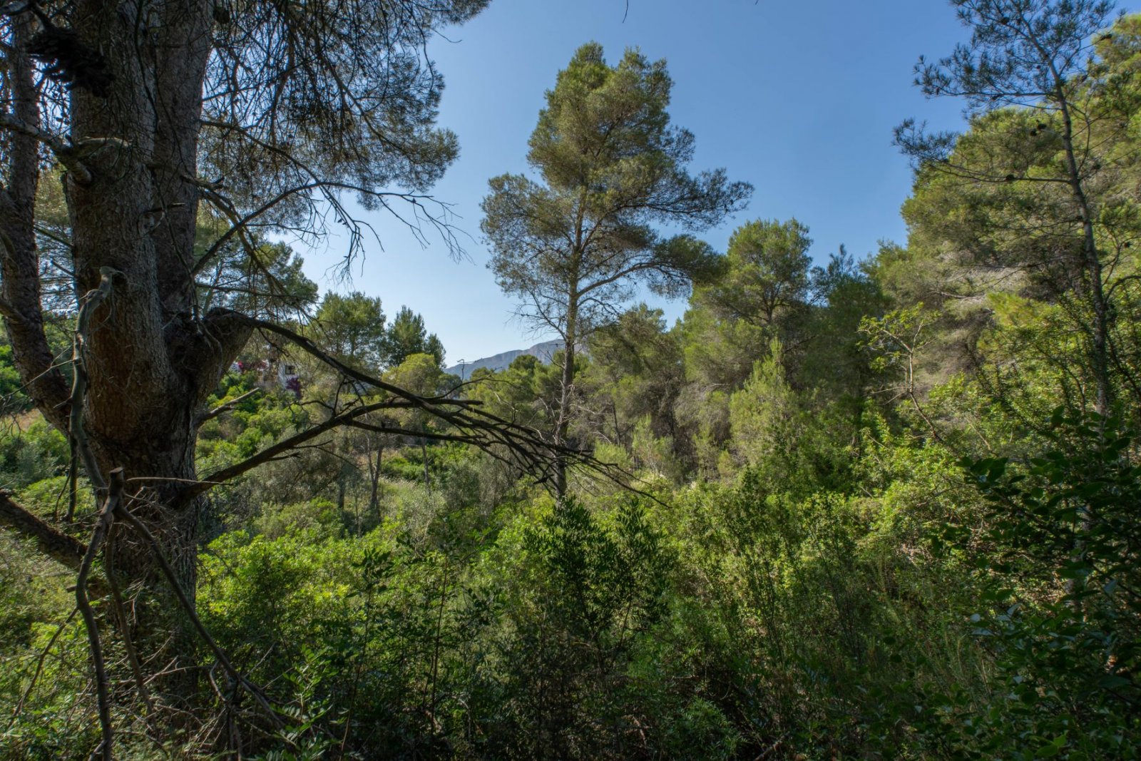 4104JAV - Grundstück zu verkaufen in Javea