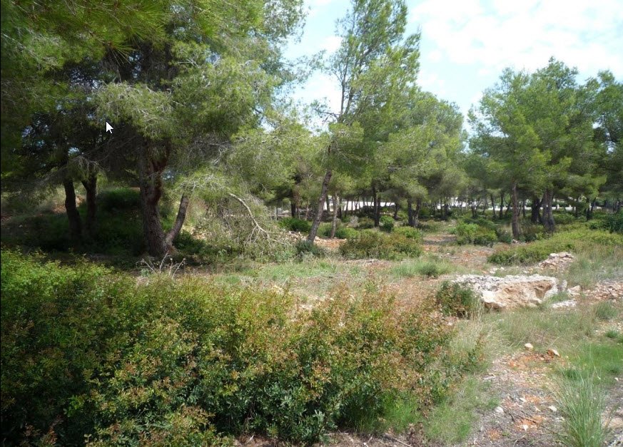 3298JAV Baugrundstücke in Jávea zu verkaufen