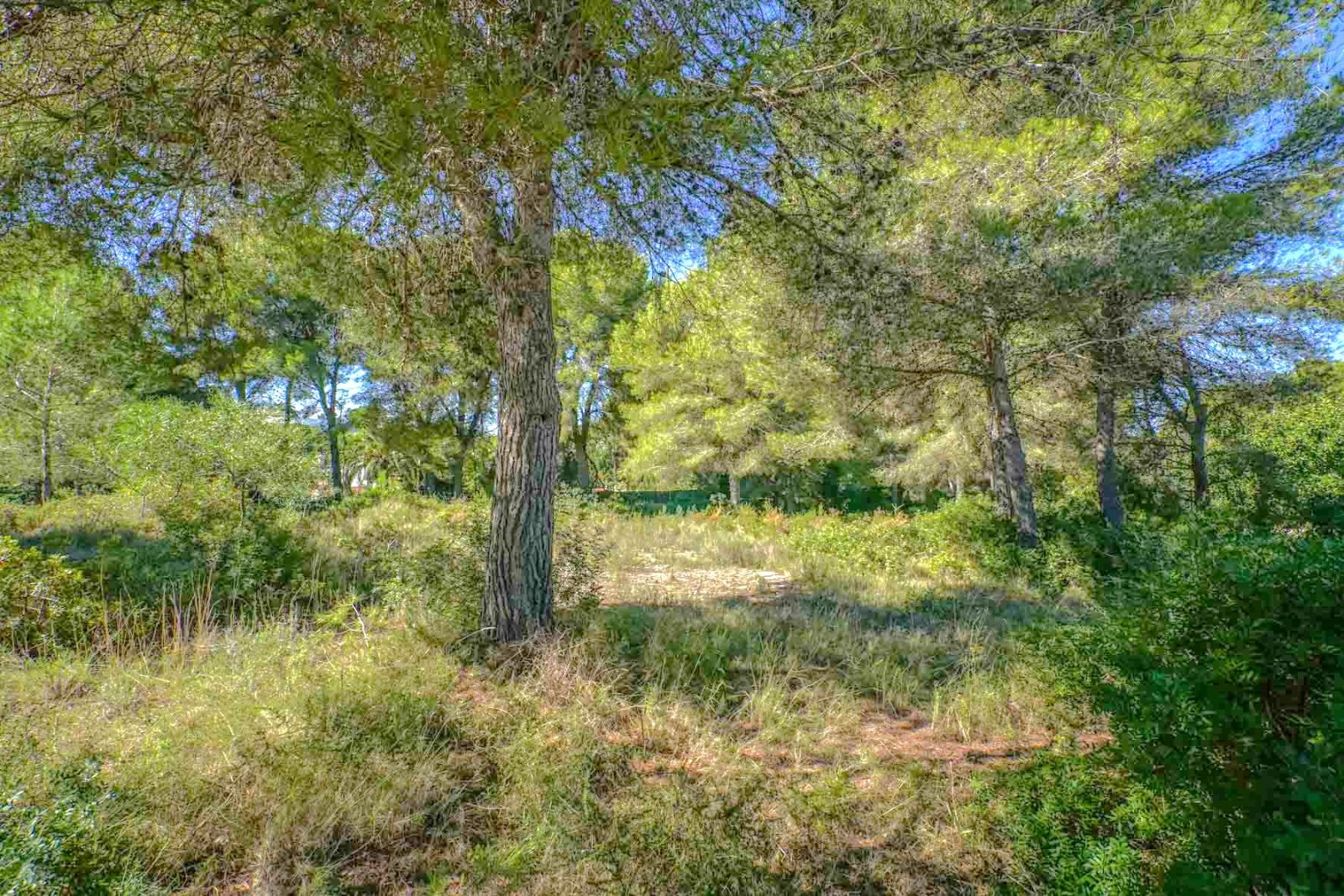 C4XY4140JAV Großes Grundstück zu verkaufen in Javea