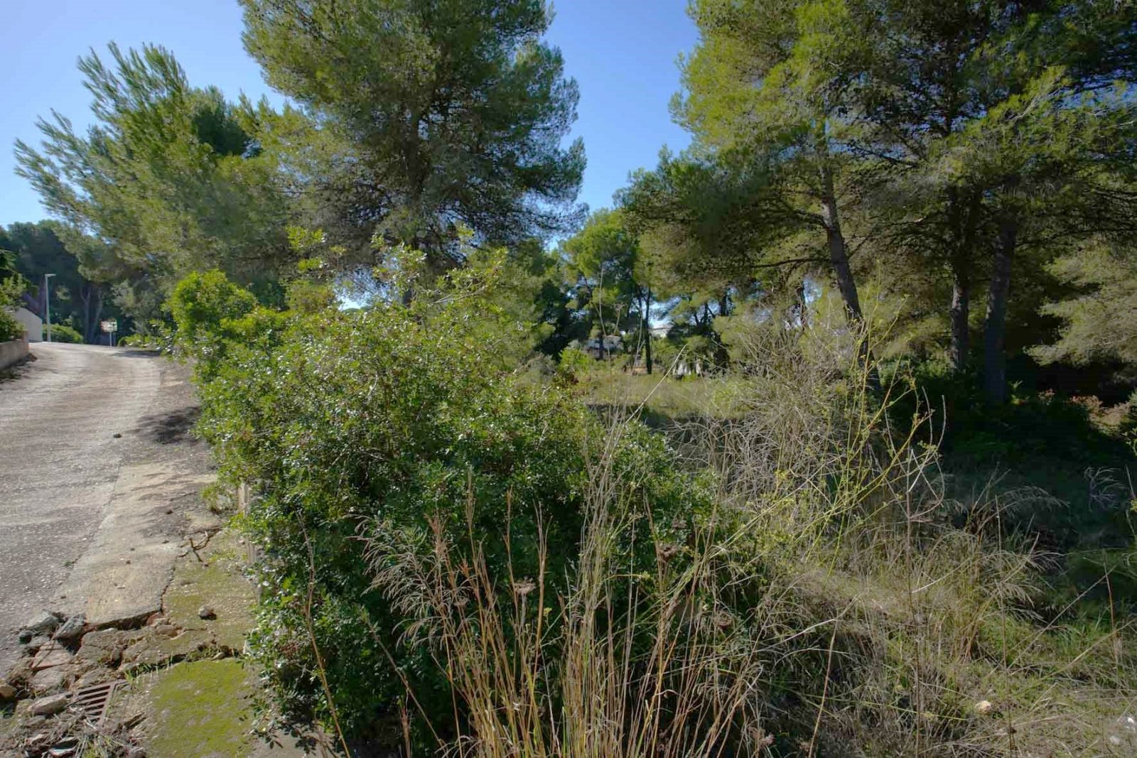 C4XY4140JAV Großes Grundstück zu verkaufen in Javea