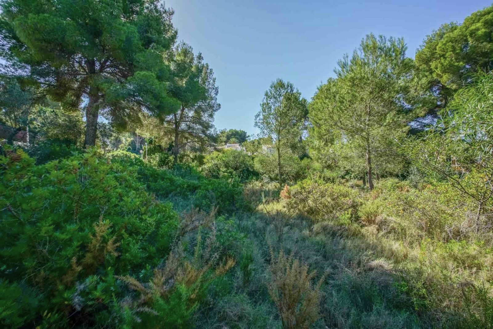 C4XY4140JAV Großes Grundstück zu verkaufen in Javea
