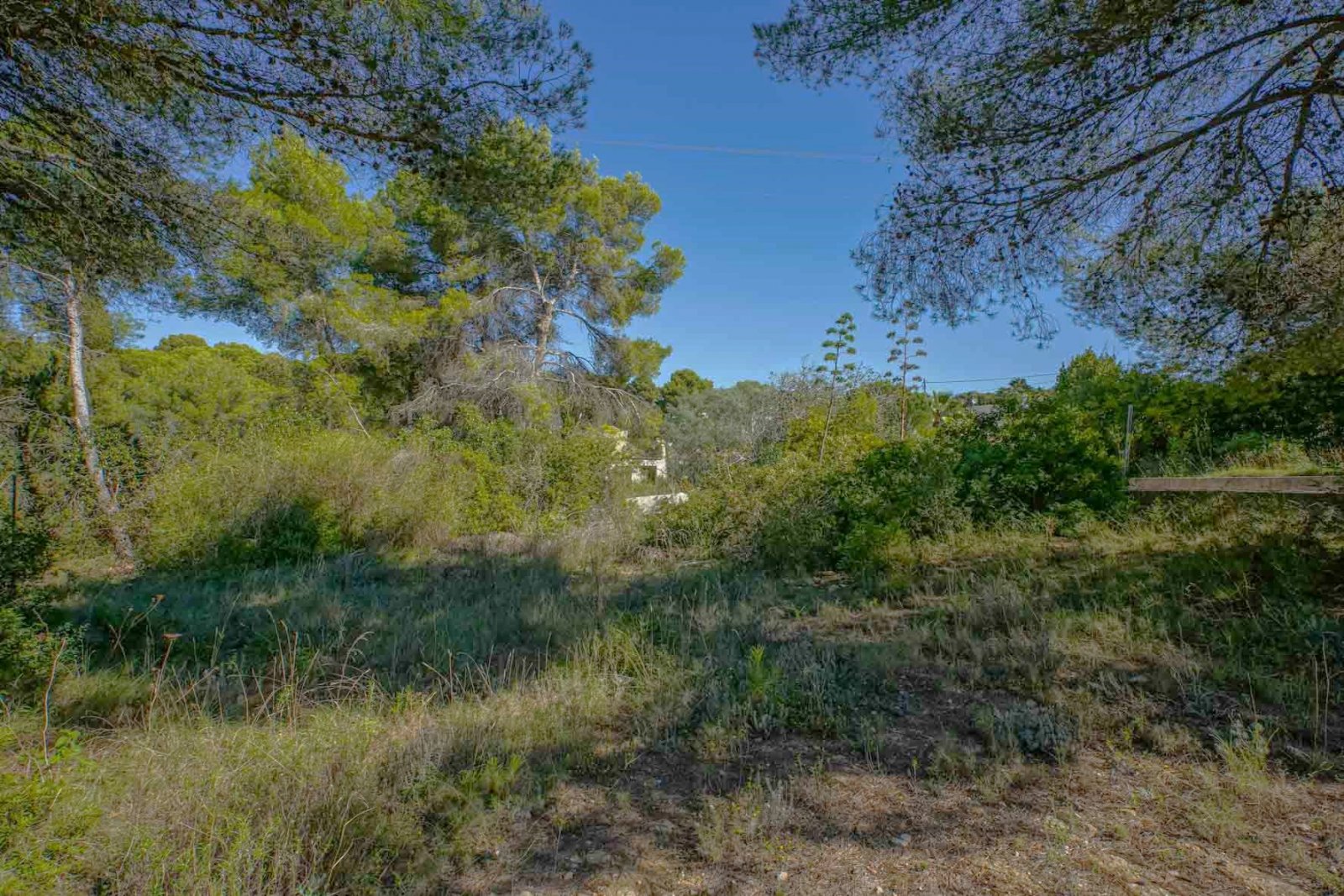 C4XY4140JAV Großes Grundstück zu verkaufen in Javea