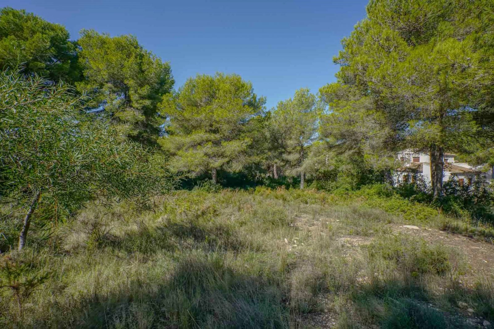 C4XY4140JAV Großes Grundstück zu verkaufen in Javea