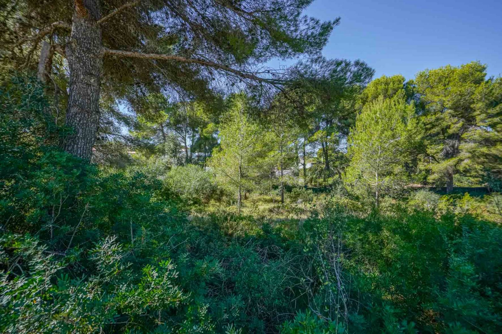 C4XY4140JAV Großes Grundstück zu verkaufen in Javea