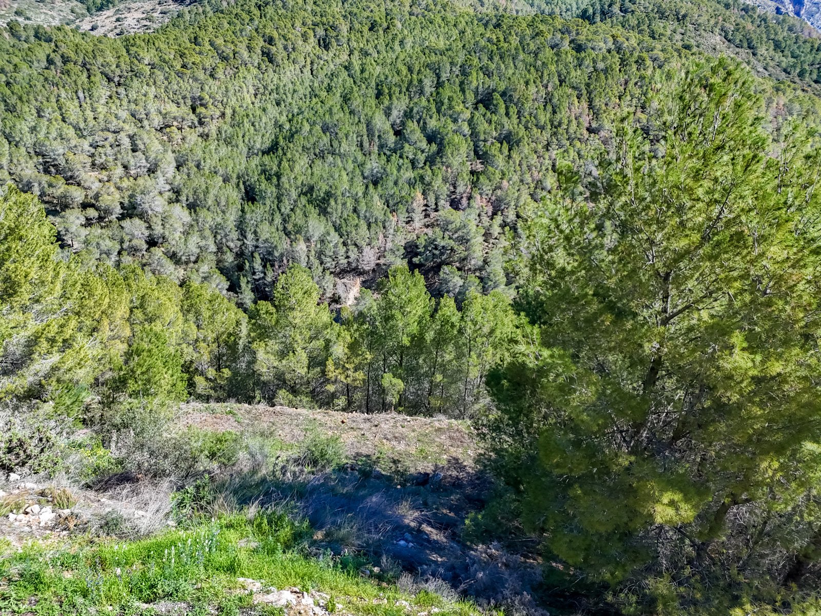 4457ALT Mehrere urbane Grundstücke in Altea zu verkaufen