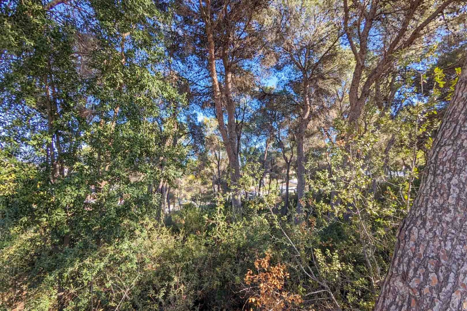 C4XY8156MOR Riesige moderne Villa mit Meerblick zum Verkauf in Moraira.