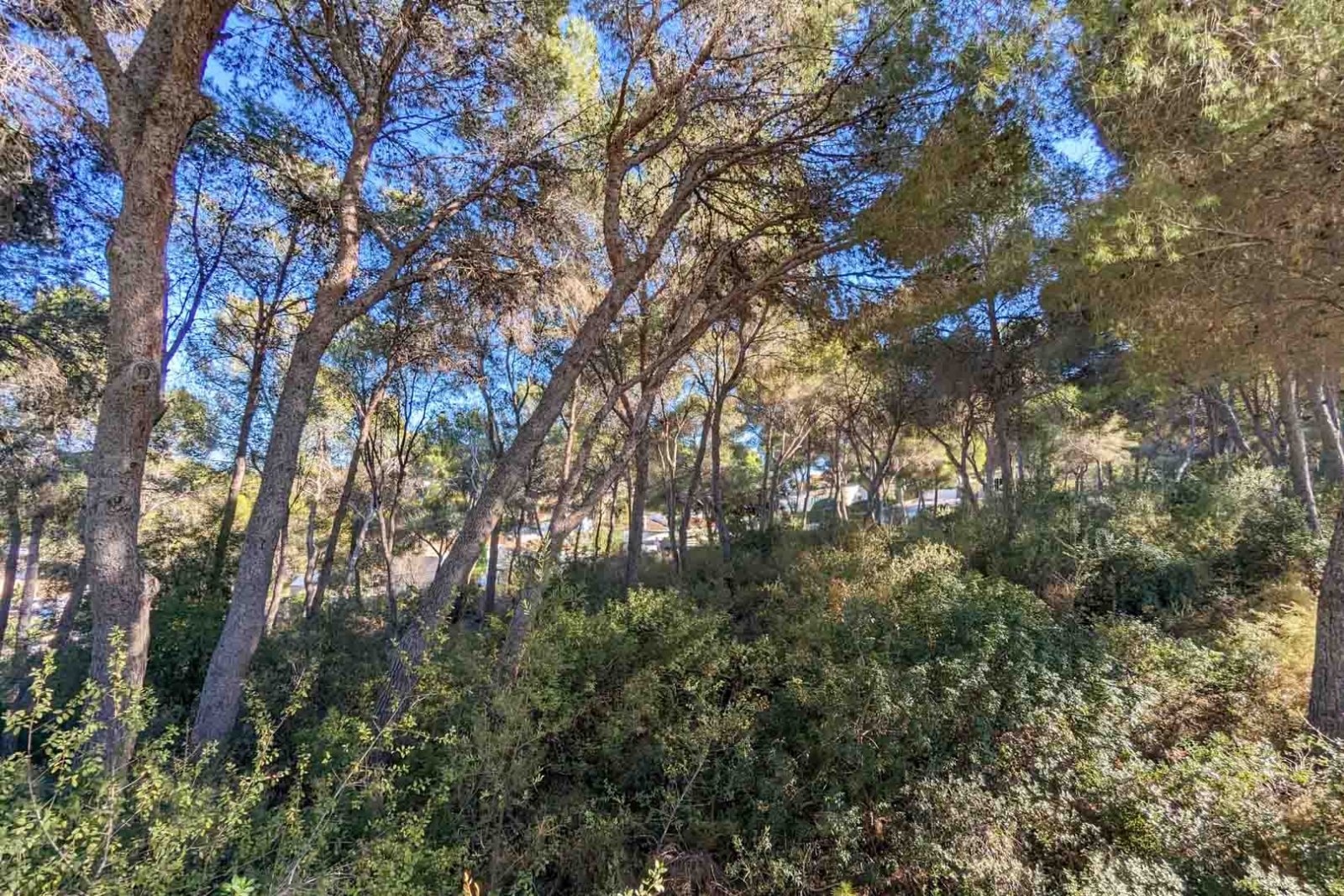 C4XY8156MOR Riesige moderne Villa mit Meerblick zum Verkauf in Moraira.