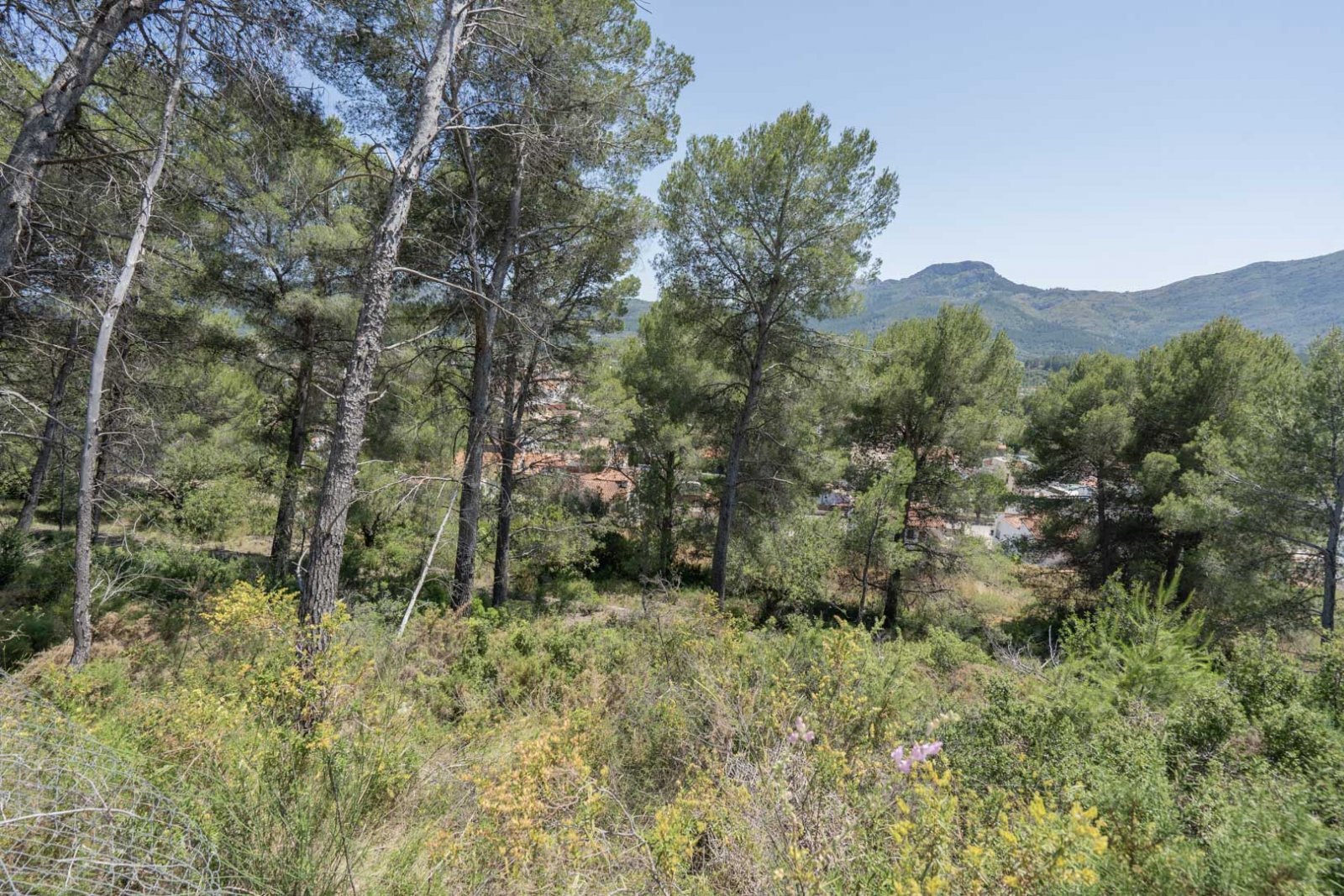 4538ALC Energieeffiziente Neubauvilla zum Verkauf in Alcalalí