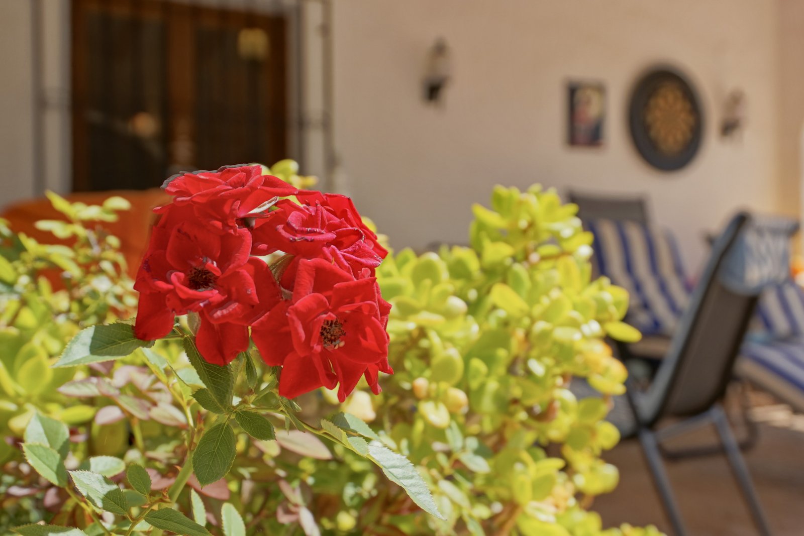 C4XY4545JAV Traditionelle Villa mit Meerblick zum Verkauf in Jávea