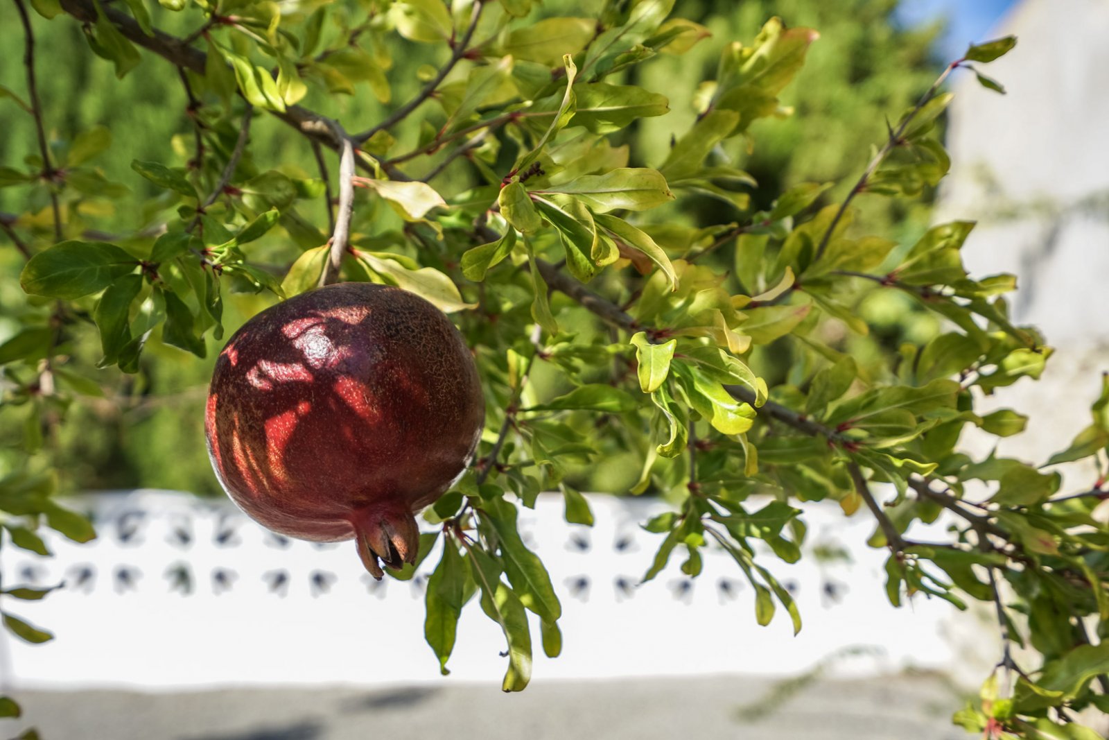 C4XY4581BEN Moderne Villa zum Verkauf in La Fustera Benissa