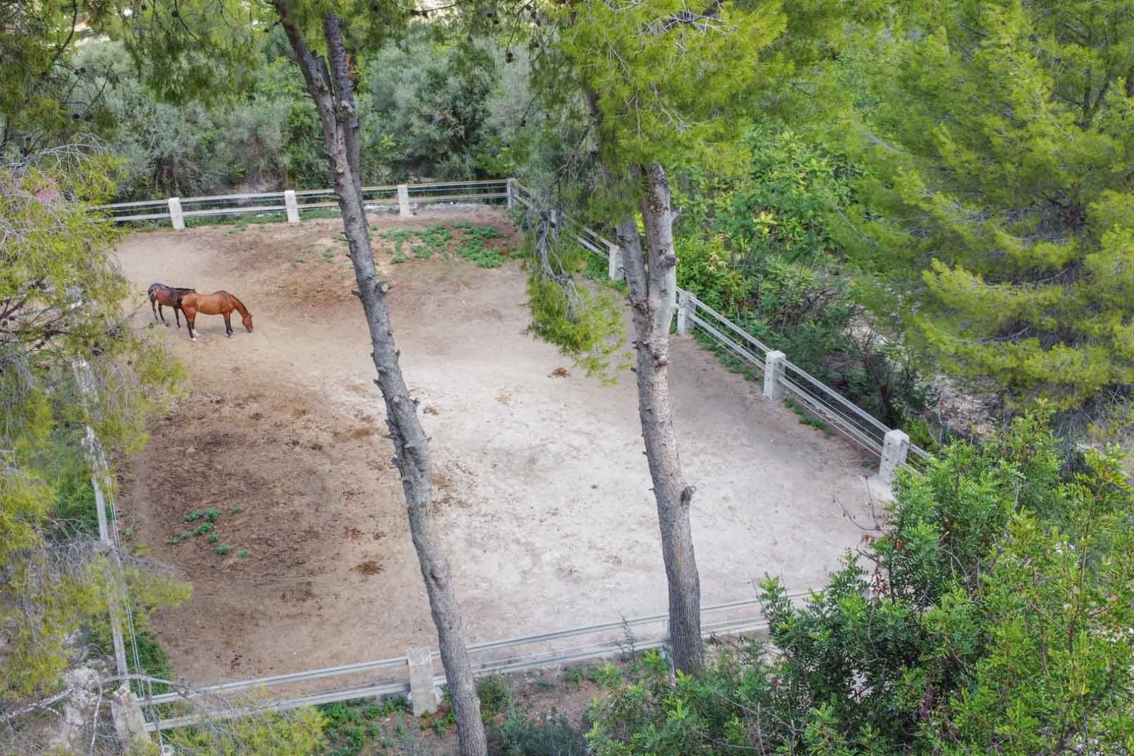 C3XY8197ORB Großer Bauernhof mit viel Land und Stall zum Verkauf in Orba