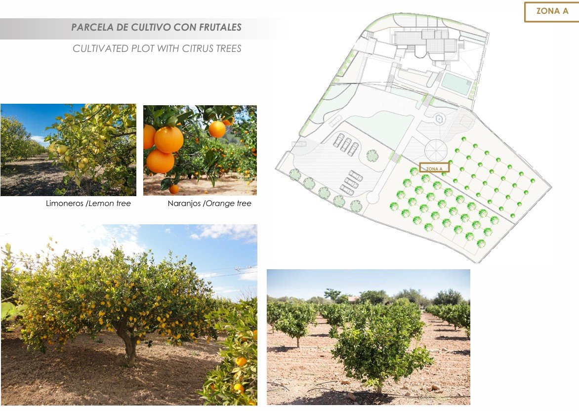 4511ALT Schöne renovierte 5-Schlafzimmer-Villa zum Verkauf in Altea