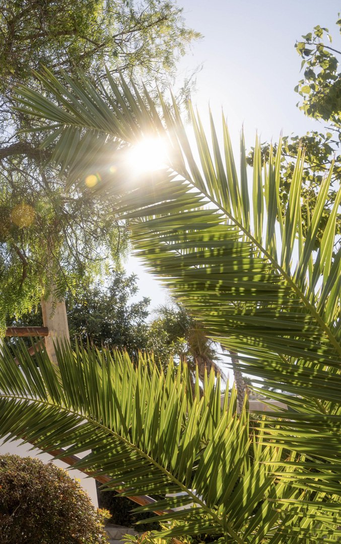 C3XY4524JAV Schöne renovierte Villa zum Verkauf in Tosalet, Jávea