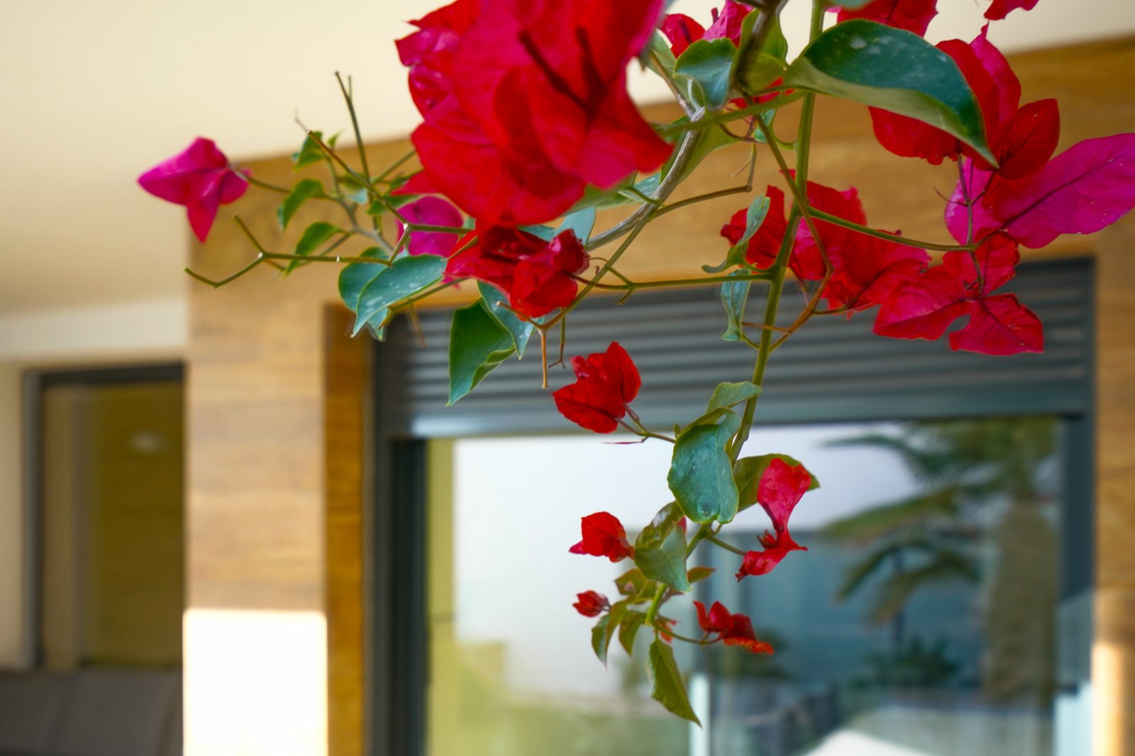 C3XY4476BELL Moderne Wohnung mit zwei Schlafzimmern zu verkaufen in Cumbre del Sol