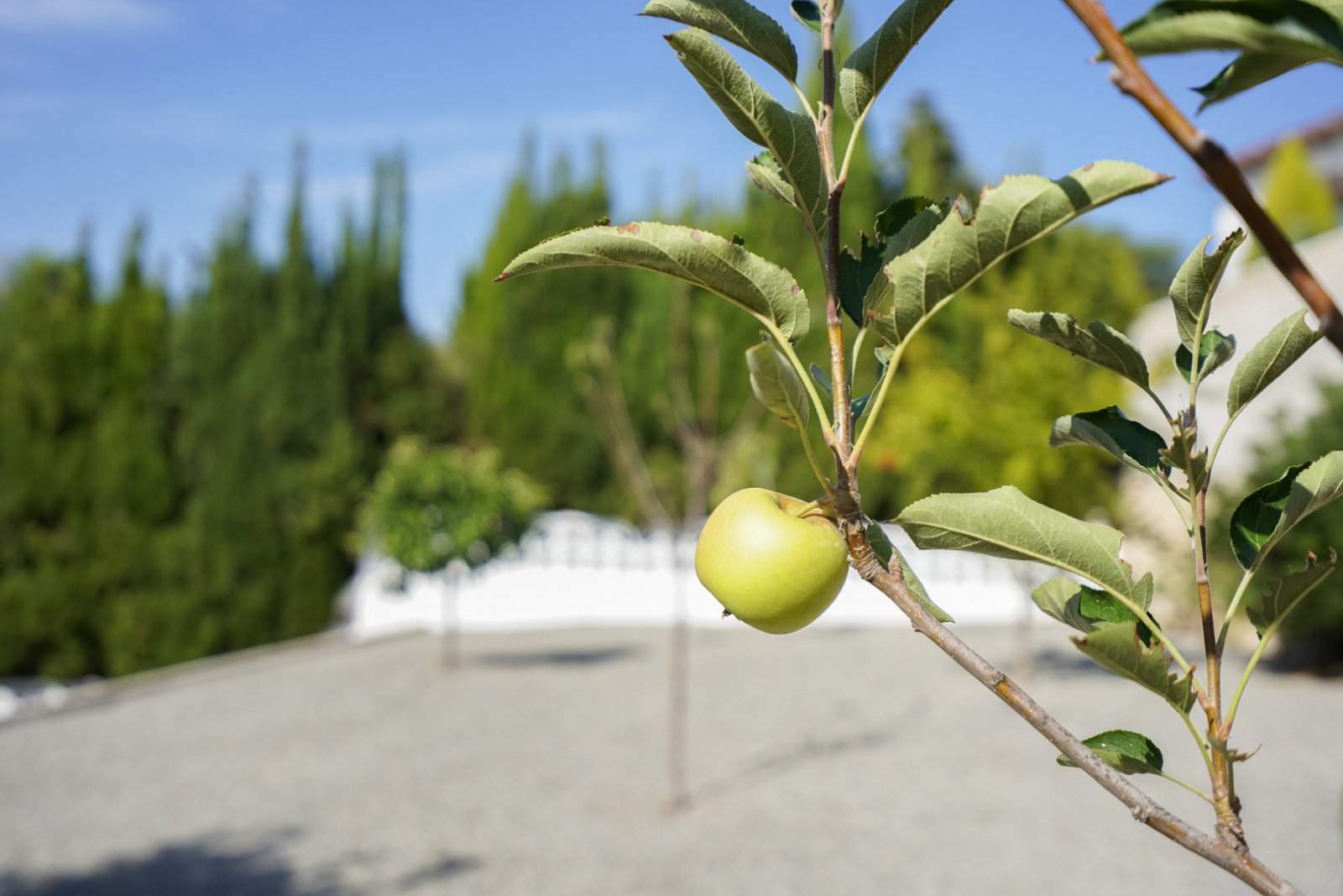 C4XY4581BEN Moderne Villa zum Verkauf in La Fustera Benissa