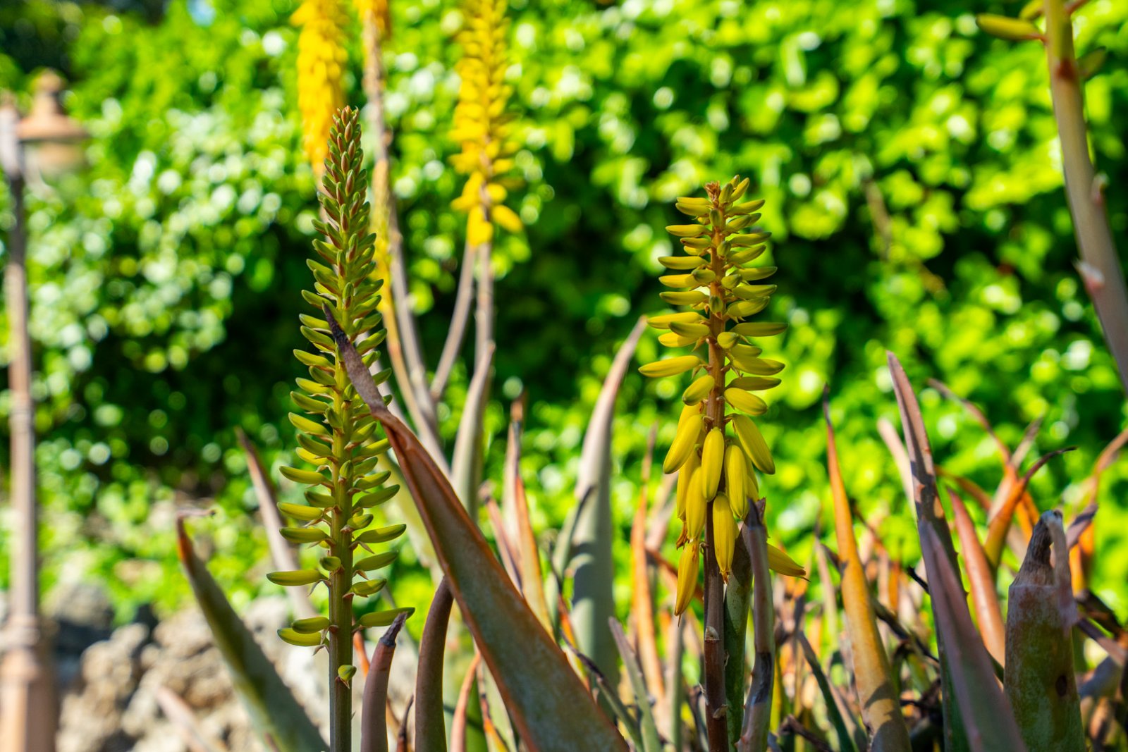 C3XY4641JAV Rustikale Villa mit separatem Apartment in Jávea zu verkaufen