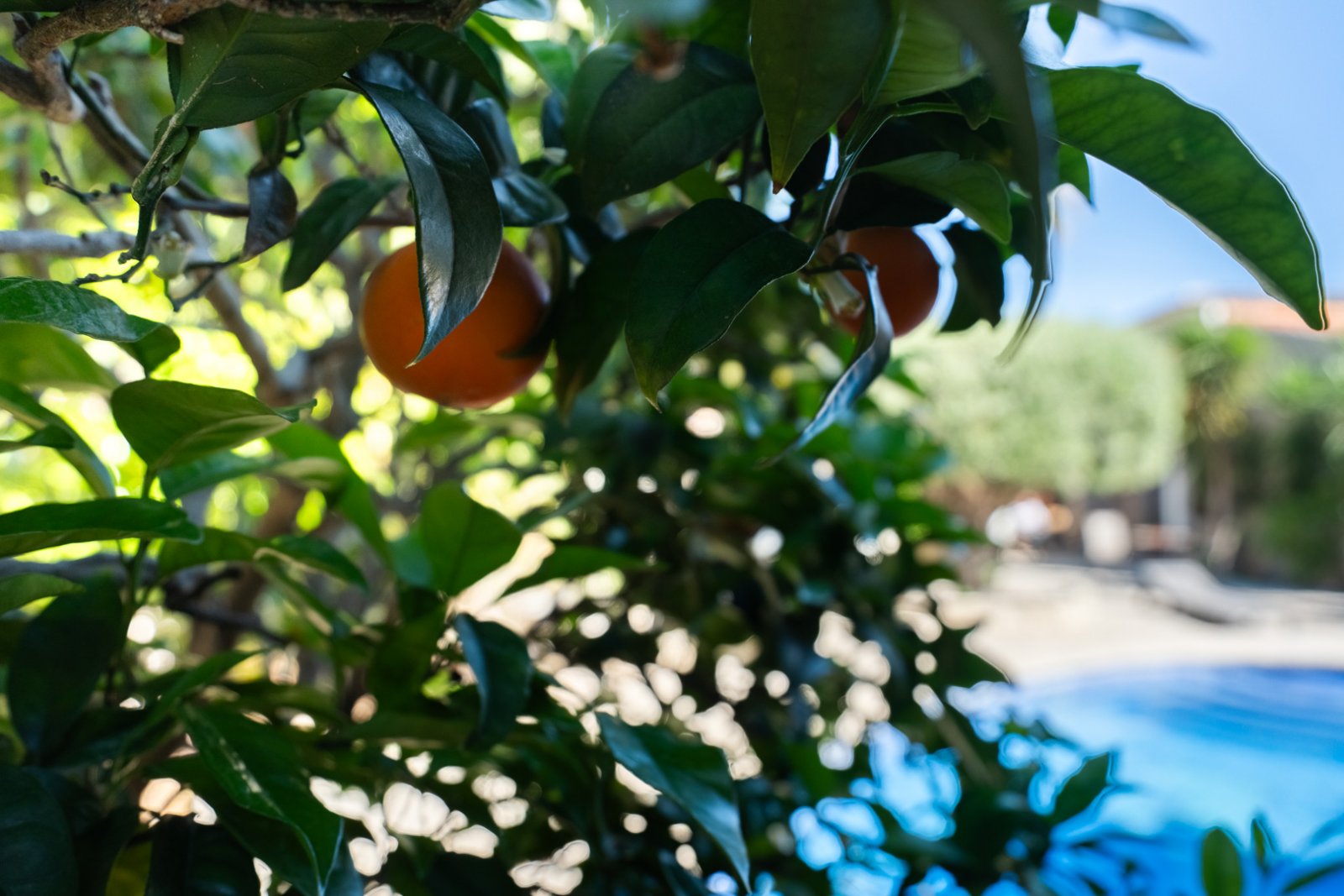 C3XY4641JAV Rustikale Villa mit separatem Apartment in Jávea zu verkaufen