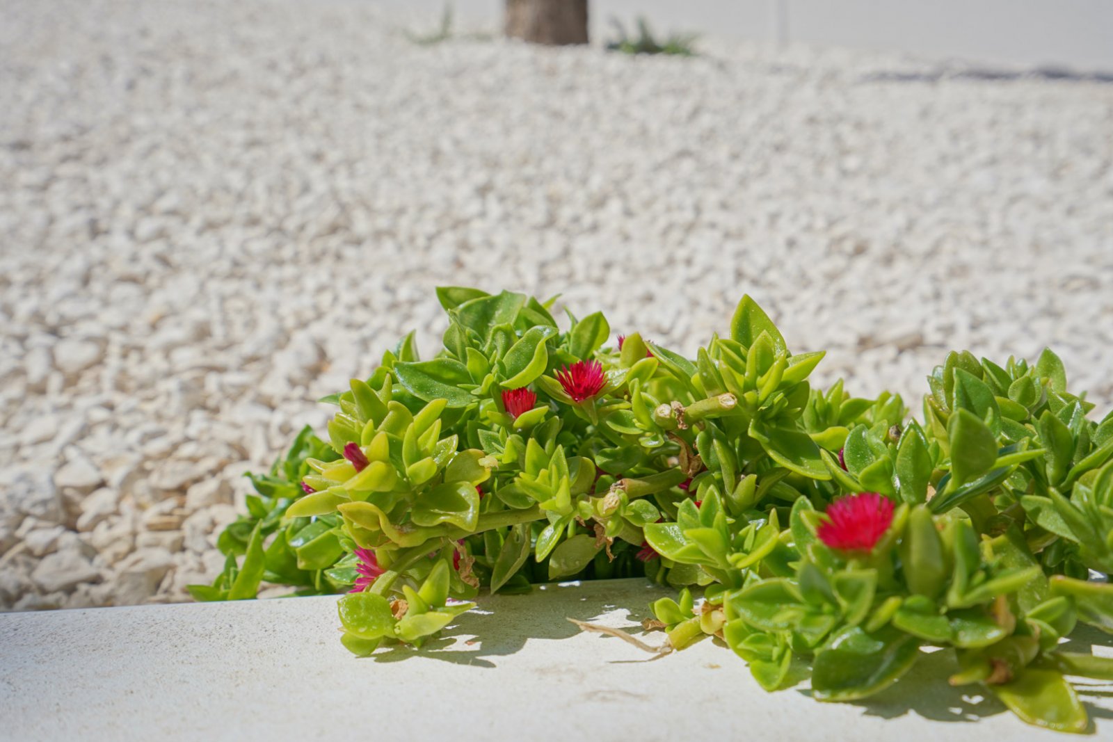 4305MOR Moderne Villa zum Verkauf in Moraira