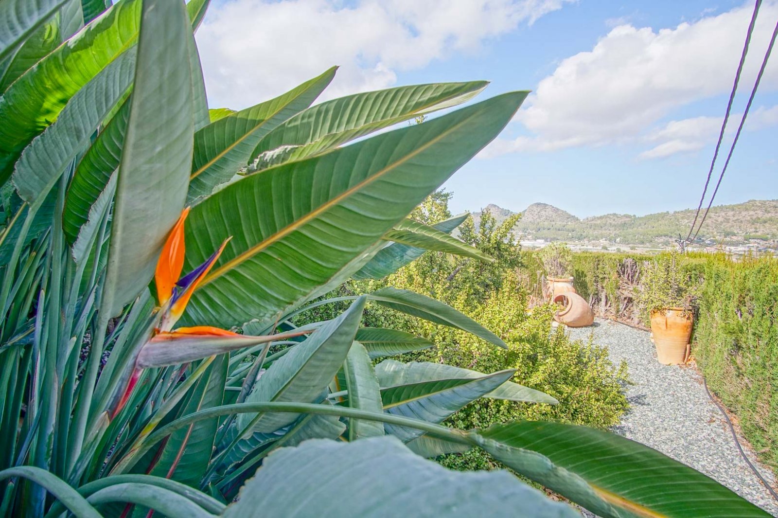 8150PED Villa zum Verkauf in Pedreguer