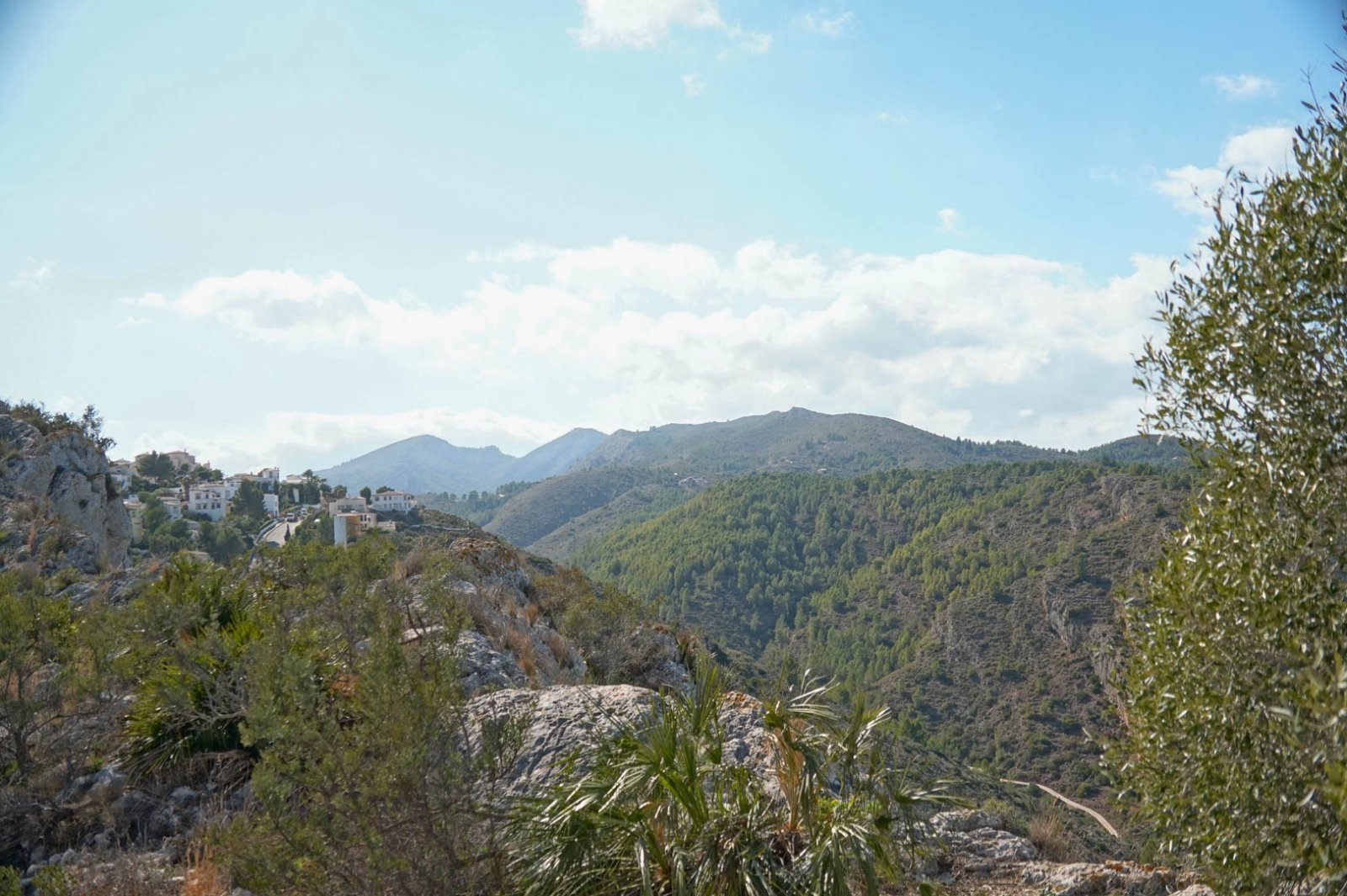 8150PED Villa zum Verkauf in Pedreguer