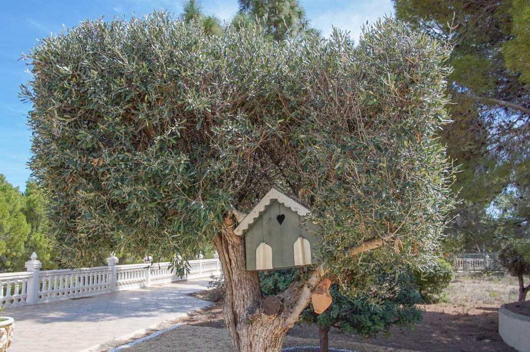 7058NUC Wunderschönes, großes, renoviertes mediterranes Landhaus in La Nucia zu verkaufen