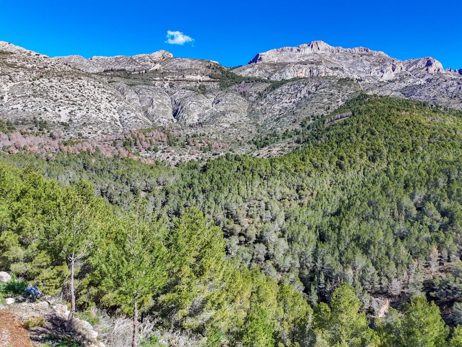 4457ALT Mehrere urbane Grundstücke in Altea zu verkaufen