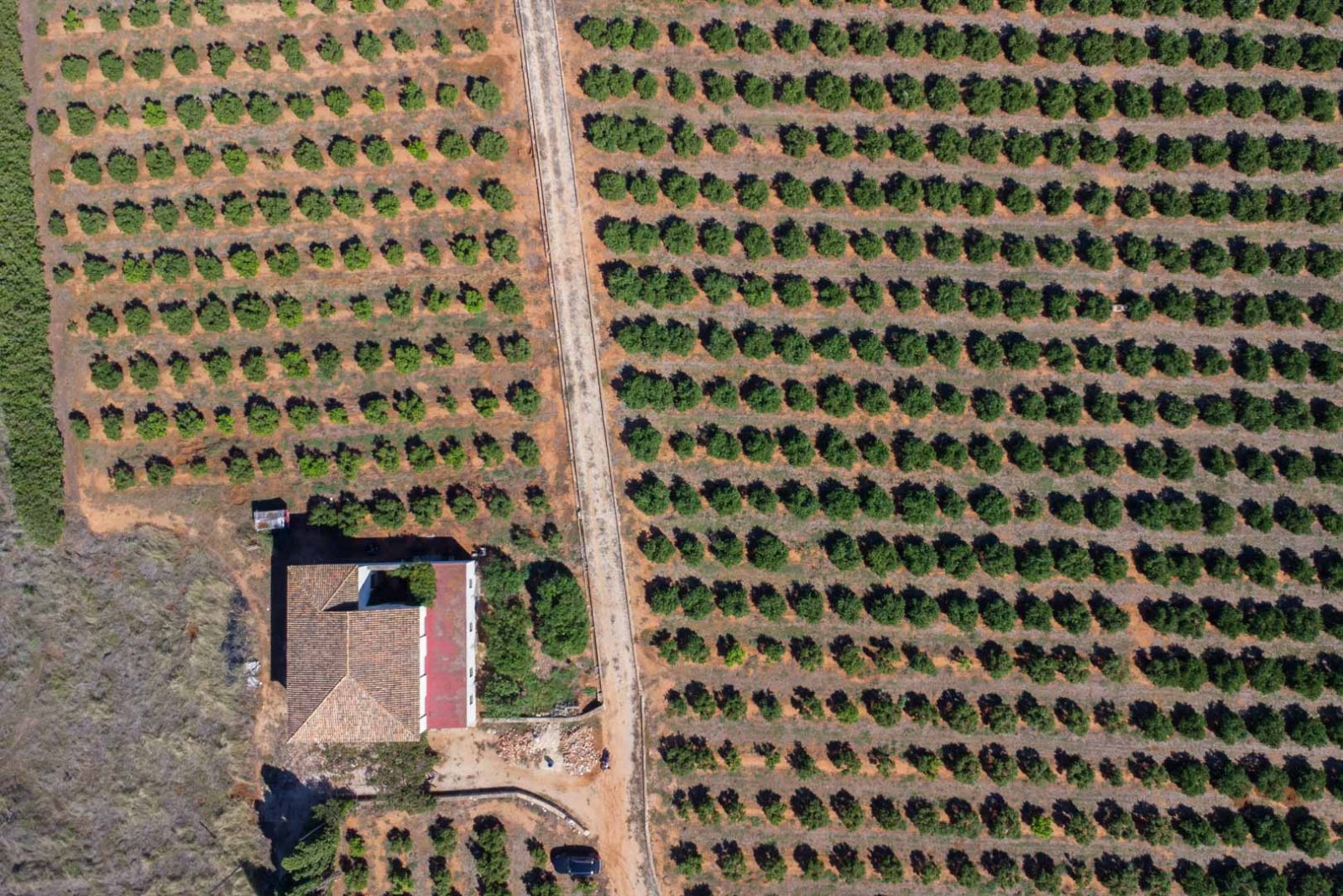 C3XY8296DEN Landhaus zum Renovieren mit großem Grundstück in Denia zu verkaufen.