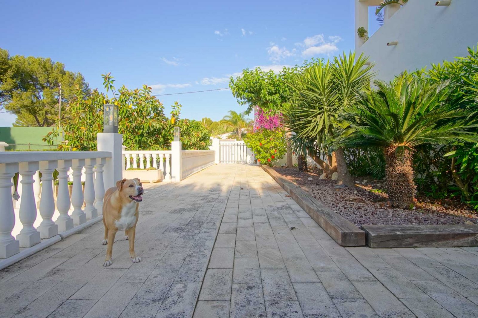 8176DEN Villa mit teilweisem Meerblick zum Verkauf in Las Rotas, Denia