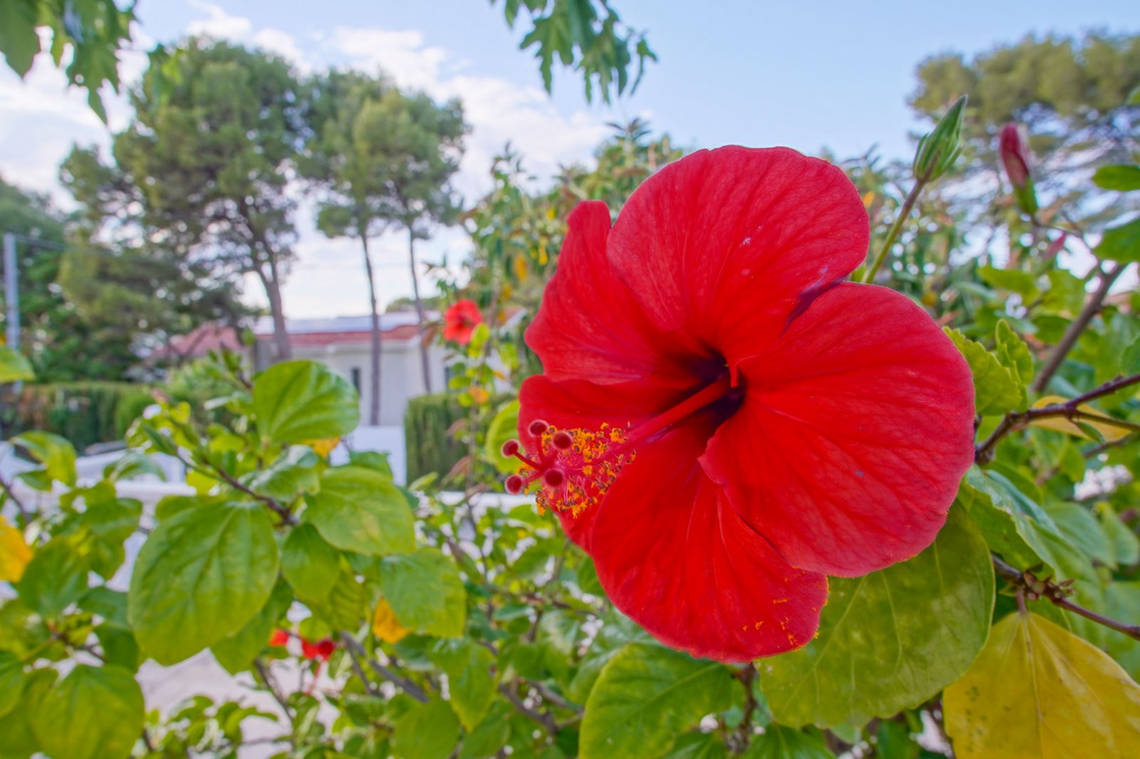 8176DEN Villa mit teilweisem Meerblick zum Verkauf in Las Rotas, Denia