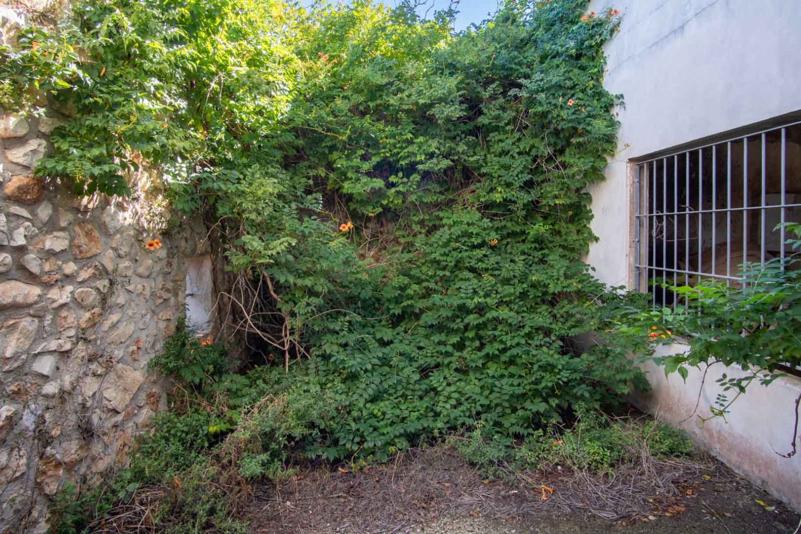 C3XY8296DEN Landhaus zum Renovieren mit großem Grundstück in Denia zu verkaufen.