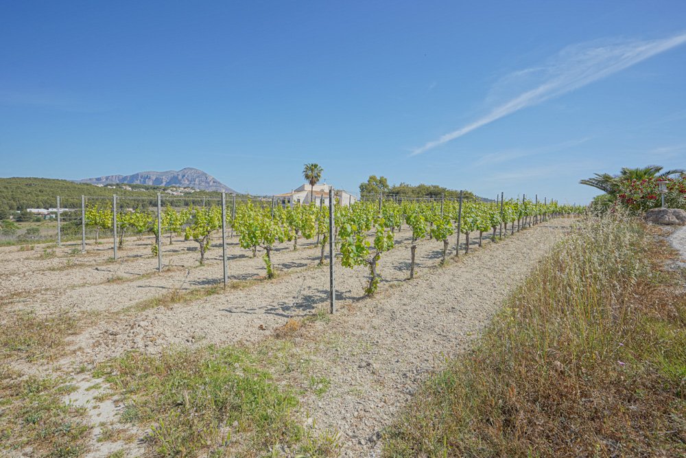 C3XY4251BELL Wunderschönes Landhaus mit Weinbergen in Benitachell zu verkaufen