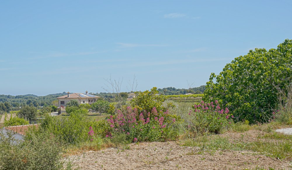 C3XY4251BELL Wunderschönes Landhaus mit Weinbergen in Benitachell zu verkaufen