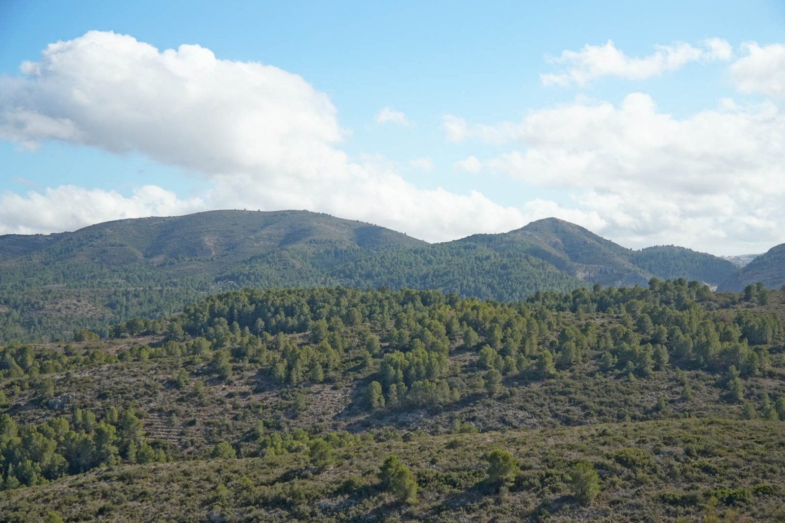 8150PED Villa zum Verkauf in Pedreguer