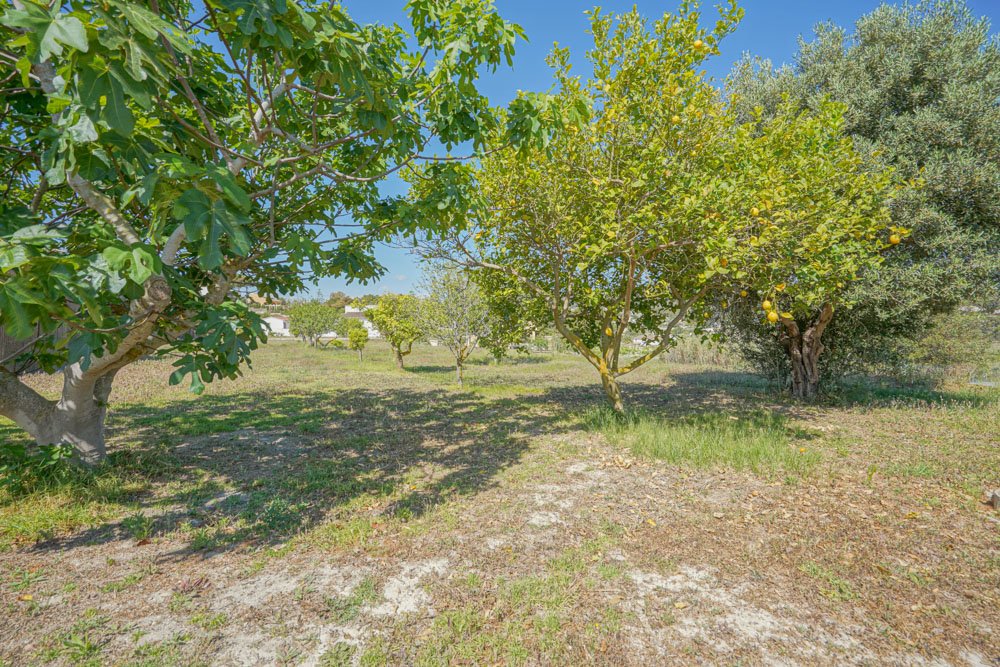 C3XY4251BELL Wunderschönes Landhaus mit Weinbergen in Benitachell zu verkaufen