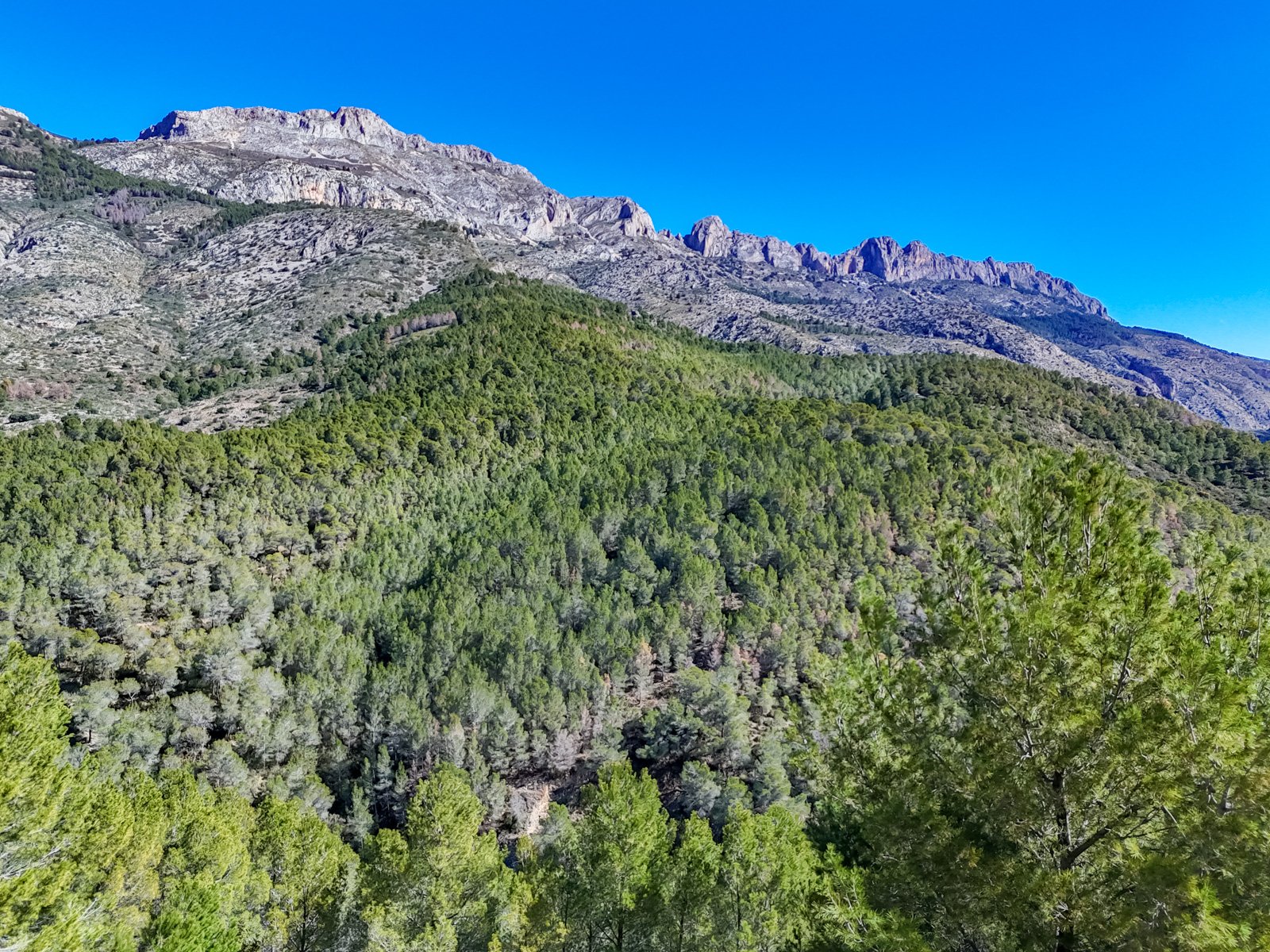 4457ALT Mehrere urbane Grundstücke in Altea zu verkaufen