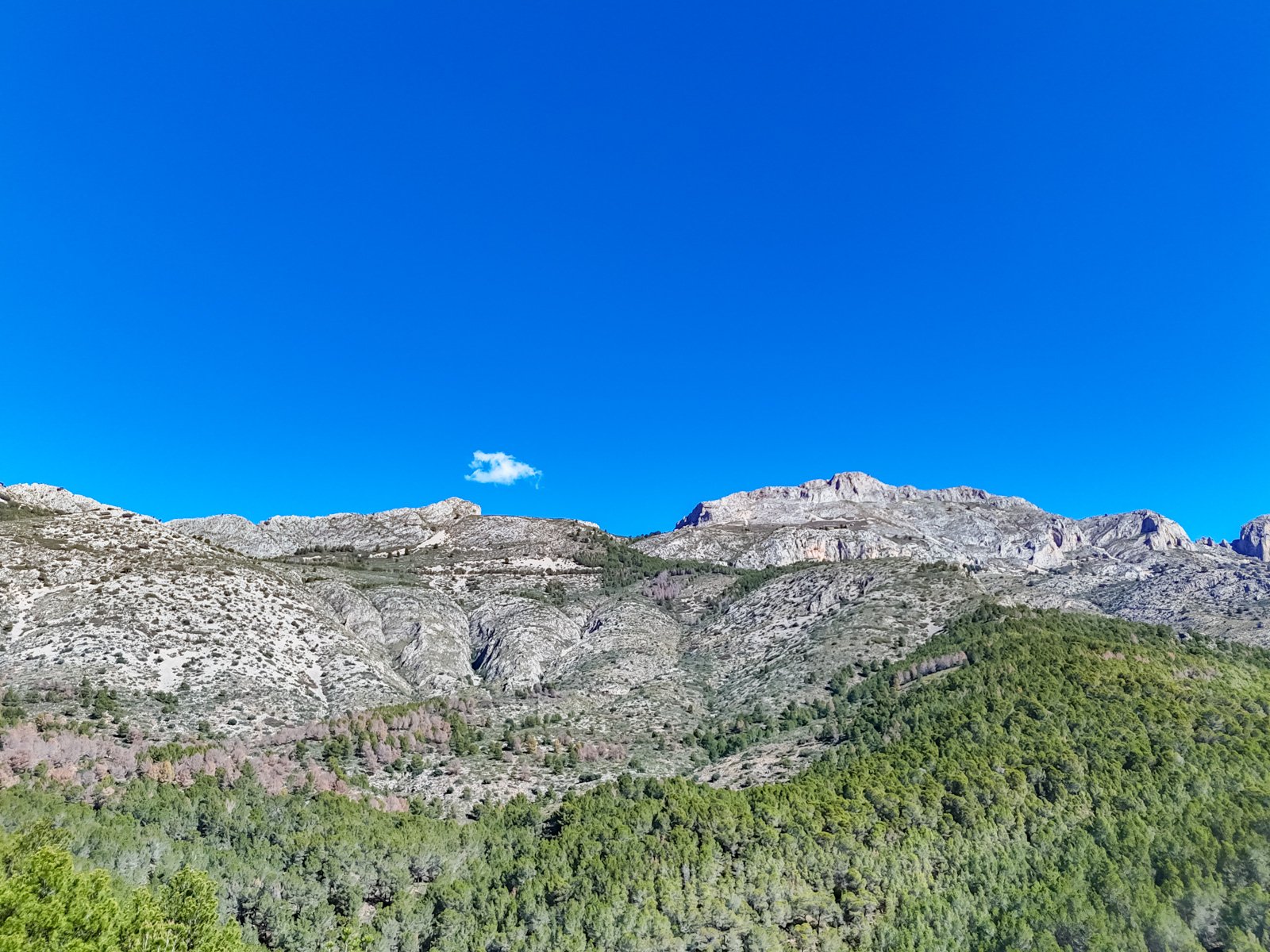 4457ALT Mehrere urbane Grundstücke in Altea zu verkaufen