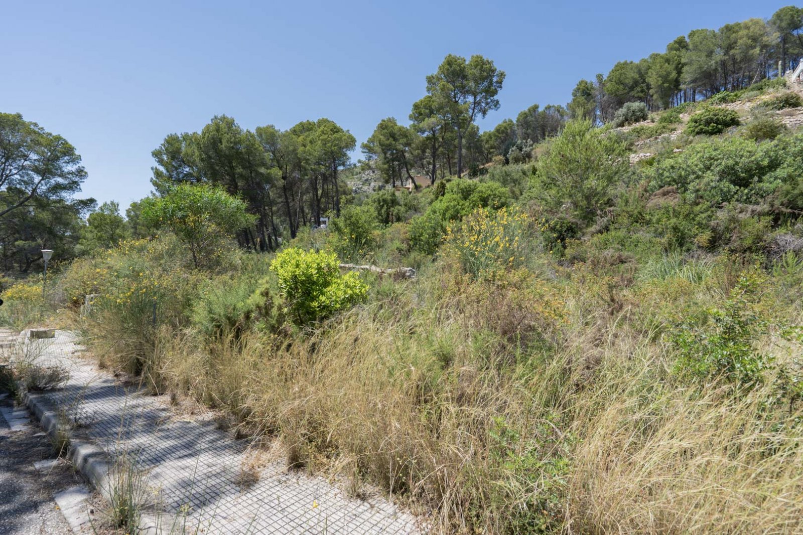 4562ALC Energieeffiziente Neubauvilla zum Verkauf in Alcalalí