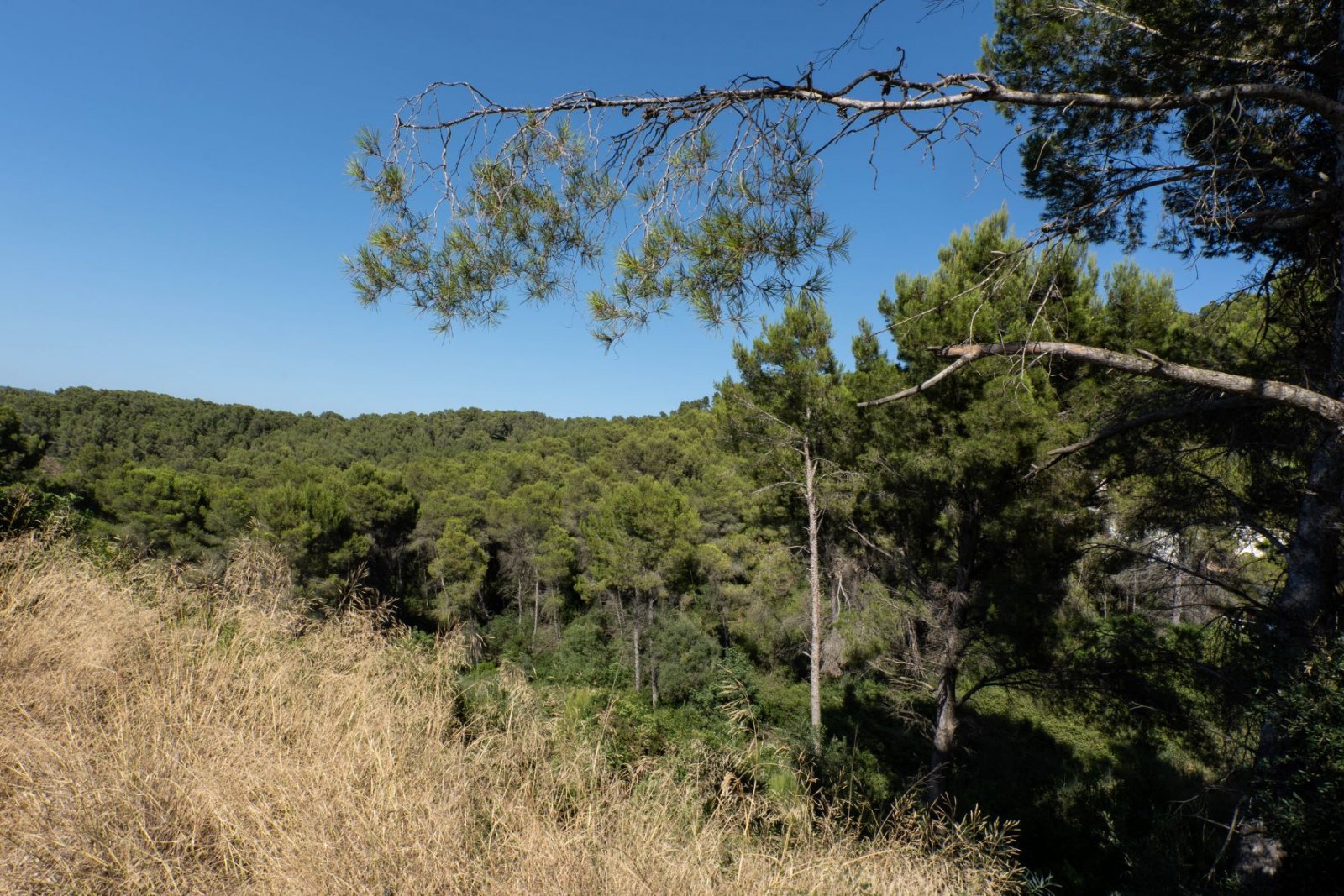 4104JAV - Grundstück zu verkaufen in Javea