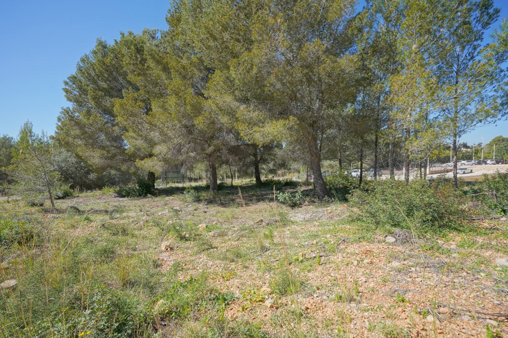 3580JAV Gewerbegrundstück zu verkaufen in Jávea
