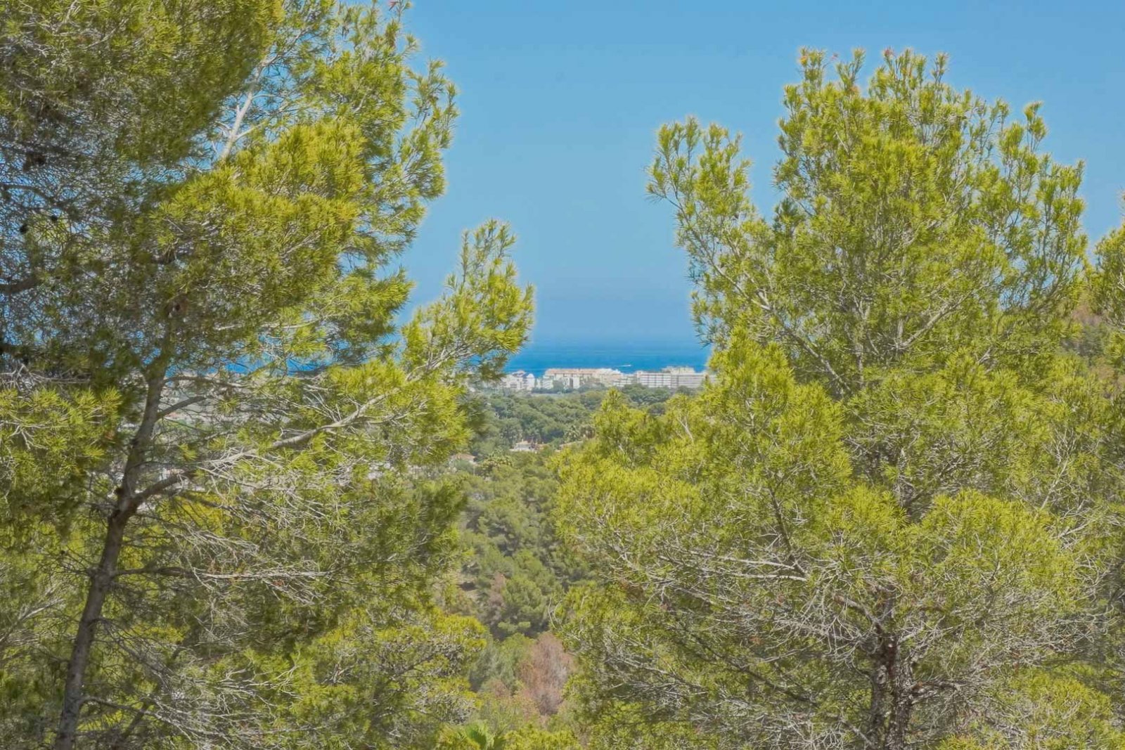 4402JAV 3 angrenzende Baugrundstücke mit Meerblick zum Verkauf in Jávea