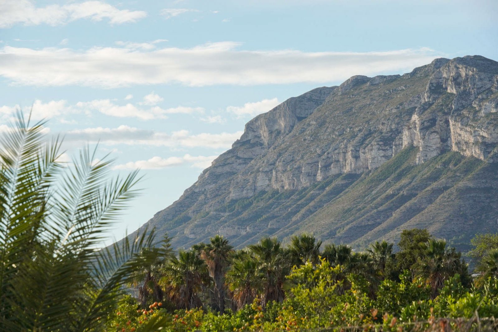 8290DEN Mediterrane Villa mit Pool, großem Grundstück, 550 m vom Strand entfernt und in der Nähe des Zentrums, zu verkaufen in Denia.