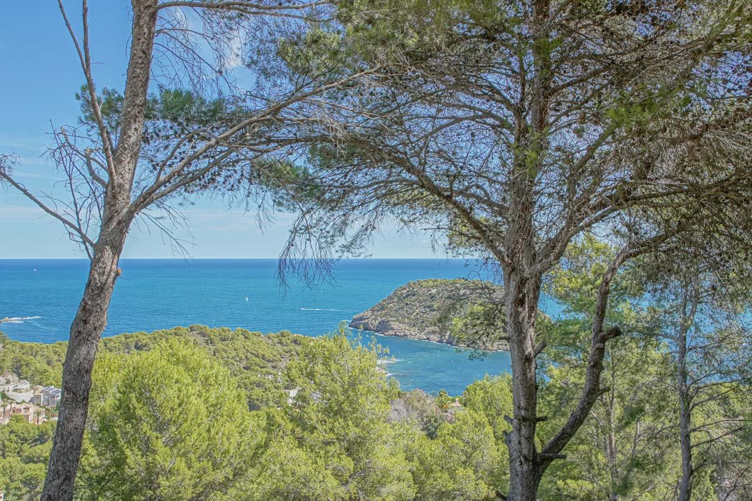 6292JAV Grundstück mit fantastischem Meerblick zu verkaufen in Portichol, Jávea