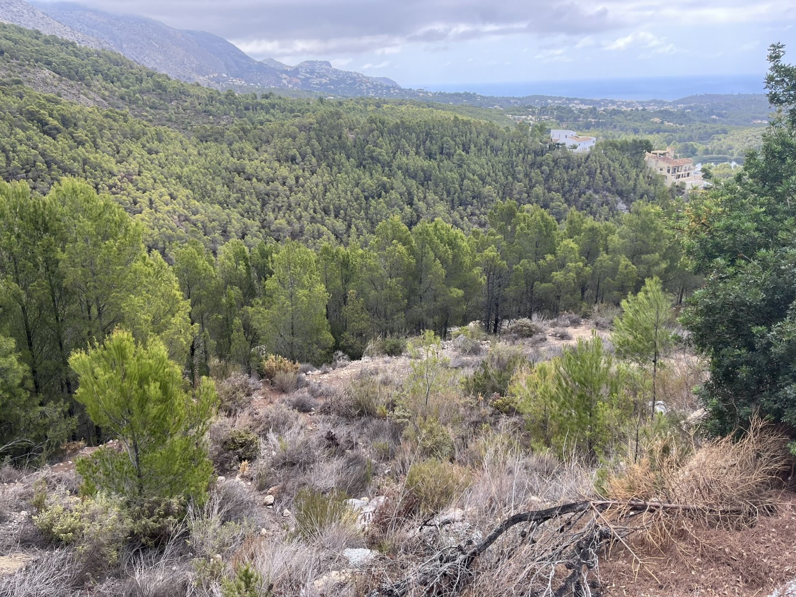 4457ALT Mehrere urbane Grundstücke in Altea zu verkaufen