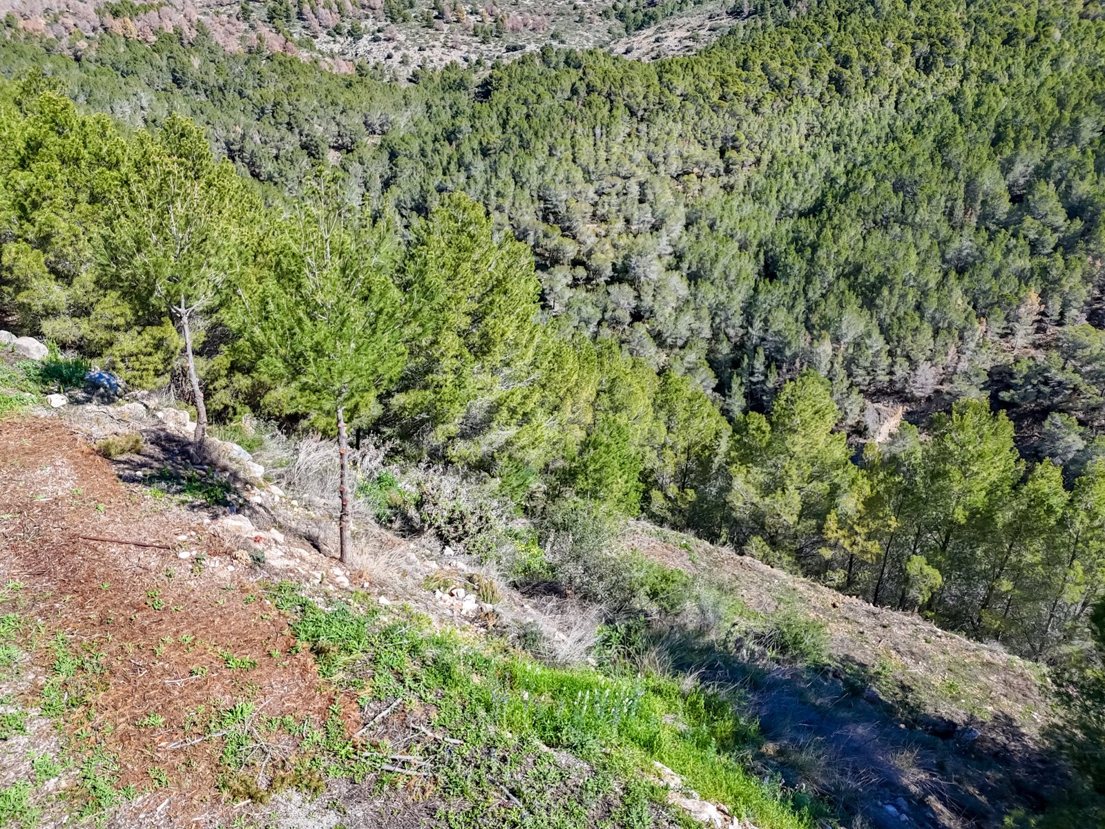 4457ALT Mehrere urbane Grundstücke in Altea zu verkaufen